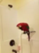 20181119_142028.jpg